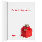 Je te connais Kitten (Intérieur (Droit))