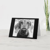 JE TERUGTREDENDE "GELUKKIGE HOND!" KAART (Voorkant)