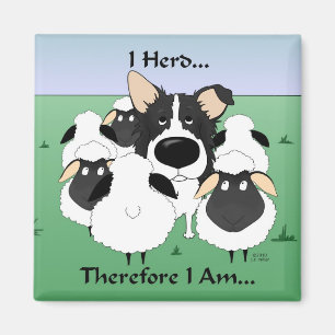 Je Trouve...Donc Je Suis Aimant