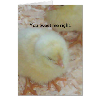 Je twittert me juist.