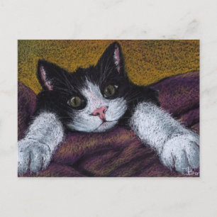 Je vais vous chercher ! carte postale tuxedo kitte