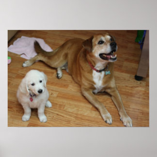 Je verdere baby's op papier poster