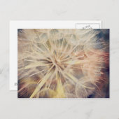 Je Veux... - Carte postale (Devant / Derrière)