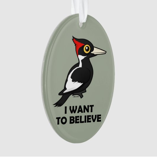 Je veux croire (devant)