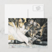 "Je veux tenir ta paille" Cat Art carte postale (Devant / Derrière)