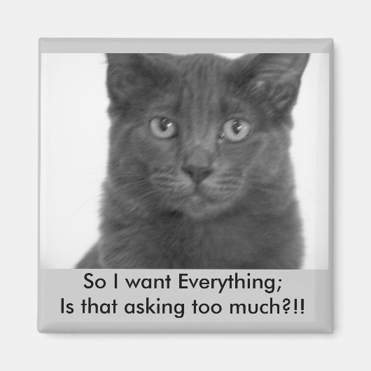 Je veux tout Magnet (Devant)