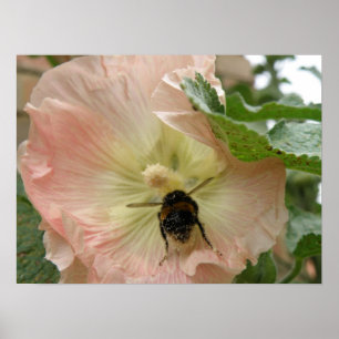 Je viens d'atterrir ! Abeille sur une impression H