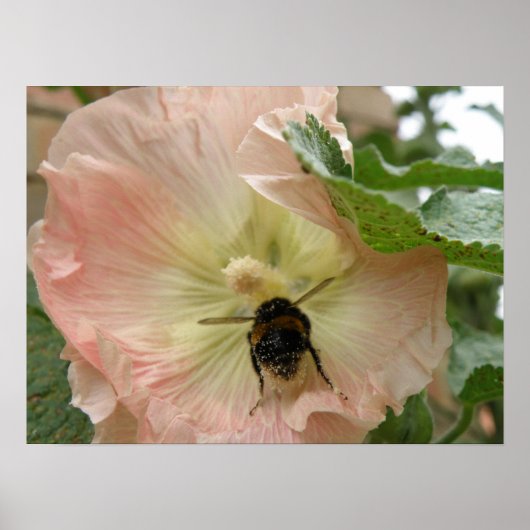 Je viens d'atterrir ! Abeille sur une impression H (Devant)