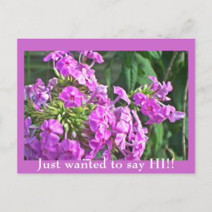 Je voulais juste dire bonjour ! ! Carte postale