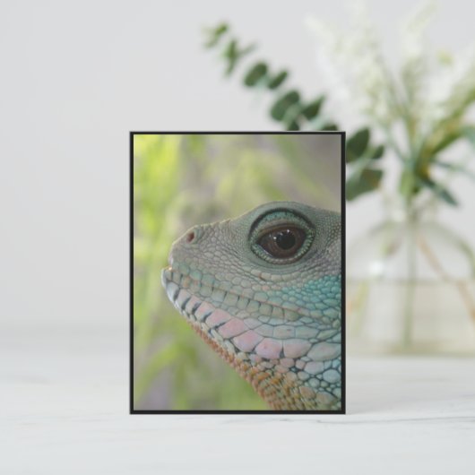 Je vous regarde - Carte postale (Debout devant)