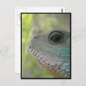 Je vous regarde - Carte postale (Devant / Derrière)