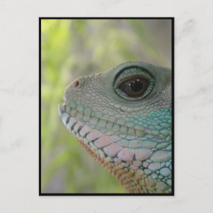 Je vous regarde - Carte postale