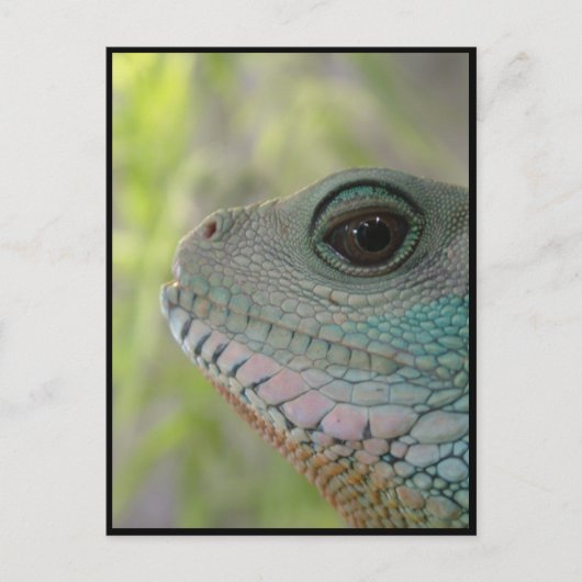 Je vous regarde - Carte postale (Devant)