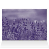 Je vous souhaite un anniversaire béni avec Lavende (Intérieur Horizontal (Haut))