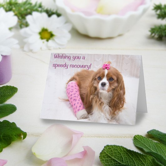 Je Vous Souhaite Une Carte Spaniel De Récupération