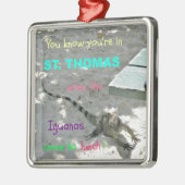 Je weet dat je in St. Thomas bent als... Metalen Ornament (Links)