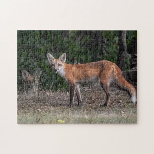 Je wordt gevolgd legpuzzel (Horizontaal)