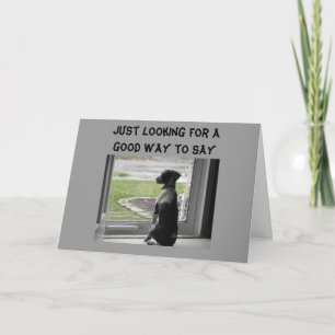 JE ZIET ER GOED UIT VOOR OVER DE HILL KAART