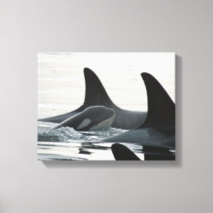 Je zult nooit alleen gewikkeld canvas zwemmen afdruk
