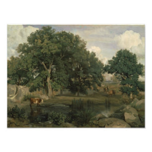 Jean-Baptiste-Camille Corot - Forest Foto Afdruk