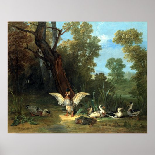 Jean-Baptiste Oudry Ducks die op Sunshine rusten Poster (Voorkant)