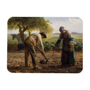 Jean-Francois Millet - Aardappelplanten Magneet