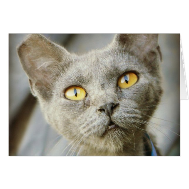 Jean Gray de dernier Hope (Devant horizontal)