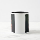 Jean Jacques Rousseau Mok (Midden)