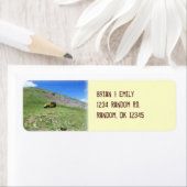 Jeep au printemps rangler étiquettes de adresse pe (En situation)