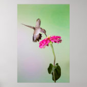 Jeff Davis County, Texas Poster (Voorkant)