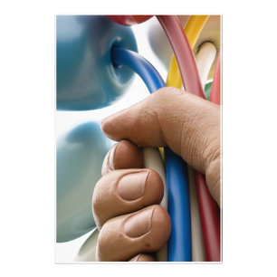 Jeff Koons Sculptuur "Boeket van Tulpen" in Parijs Foto Afdruk