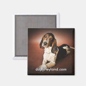 Jefferson met gegoten magneet (Voorkant / Achterkant)