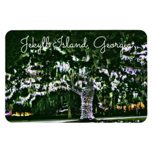 Jekyll Island GA Holiday Lights op Live Oak Tree Magneet