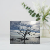 Jekyll Island Georgia Briefkaart (Staand voorkant)