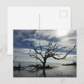 Jekyll Island Georgia Briefkaart (Voorkant / Achterkant)