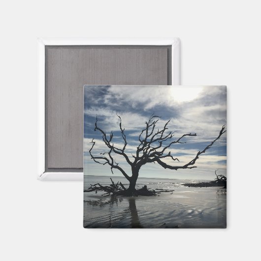 Jekyll Island Georgia Magneet (Voorkant / Achterkant)