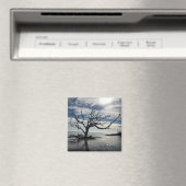 Jekyll Island Georgia Magneet (Insitu (Vaatwasser))