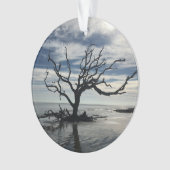 Jekyll Island Georgia Ornament (voorkant)
