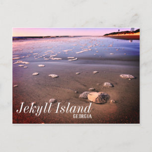 Jekyll Island Georgia Zand Dollar Beach Briefkaart