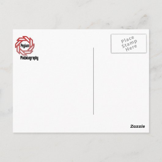 Jekyll Island Pathway naar het moeras Briefkaart (Achterkant)