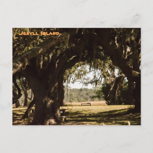 Jekyll Island Pathway naar het moeras Briefkaart (Voorkant)