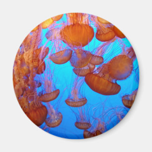 Jellies Pile-Up Magnet Magneet