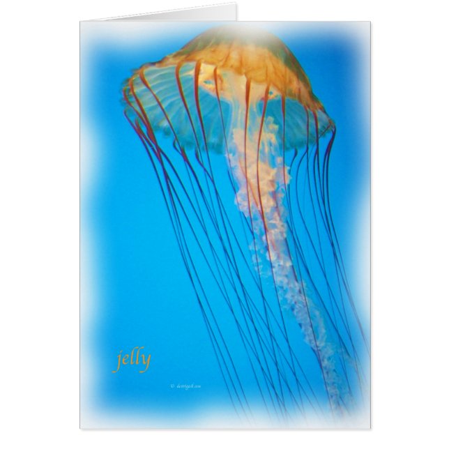 jelly_2643_Paint (Devant)