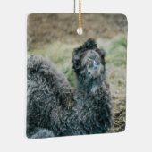 Jelly Baba Keramisch Ornament (Rechts)