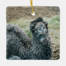 Jelly Baba Keramisch Ornament