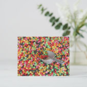 Jelly Bean Heaven Briefkaart (Staand voorkant)