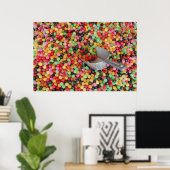 Jelly Bean Heaven Canvas Print (Thuiskantoor)