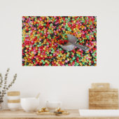 Jelly Bean Heaven Canvas Print (Keuken)