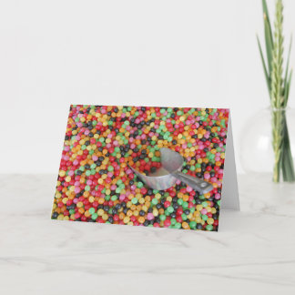 Jelly Bean Heaven greeting Card Kaart
