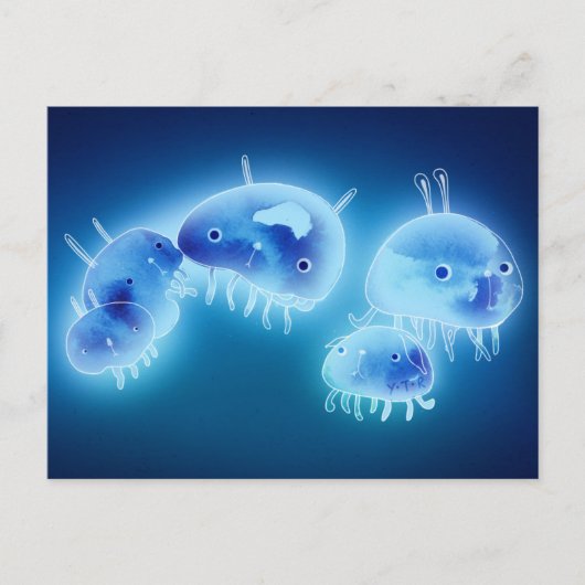 Jelly fish 2013 briefkaart (Voorkant)